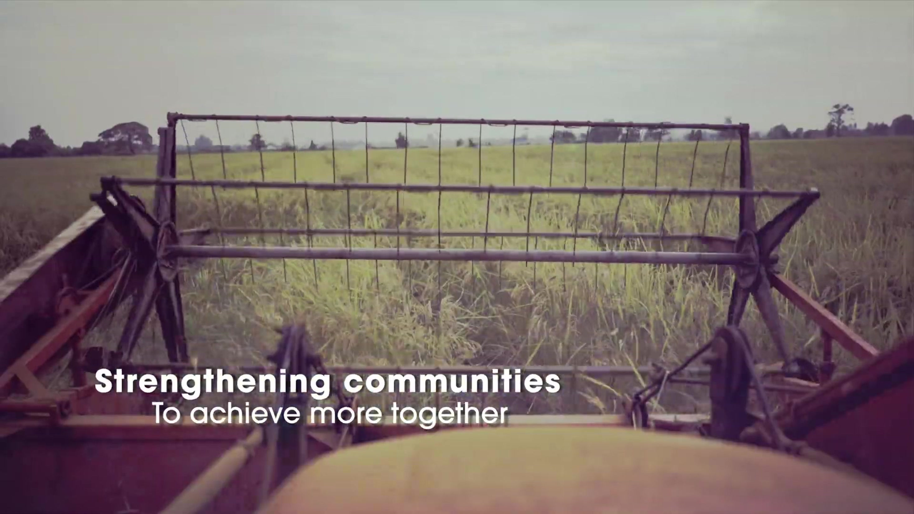 Introduction - The Little Rice Company